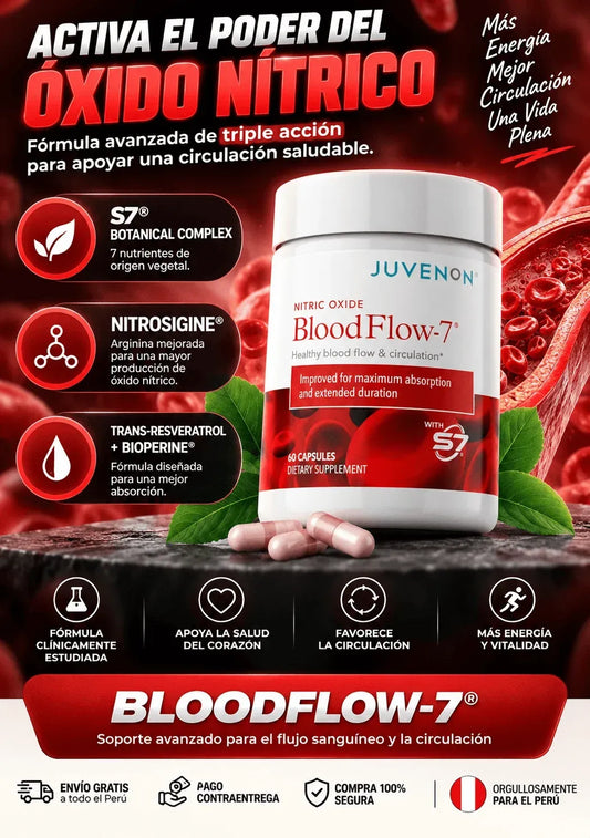 Blood Flow7  1.1